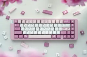 Gaming Switch Setup CATKEYS MIZUTSUNE CHERRY PROFILE PBT DYE-SUBLIMATION KEYCAP SET