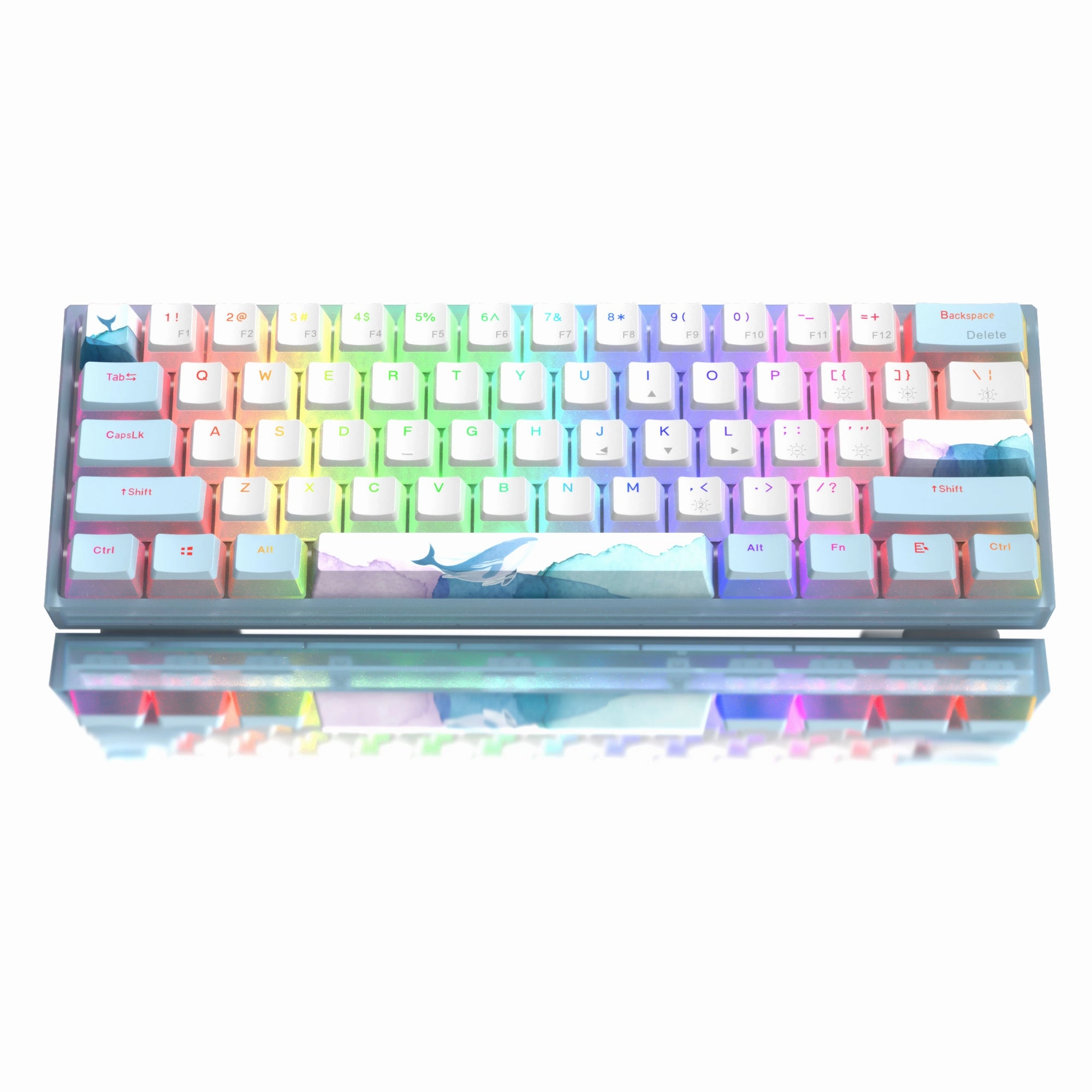 Womier WK61 V2 60% Hot-Swappable RGB Mechanical Wired Gaming Keyboard (5 Colors) Keyboard Hobbyist Setup