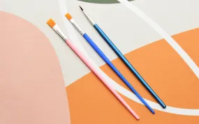 SWITCH LUBE BRUSH KIT Custom Firmware Setup Kit