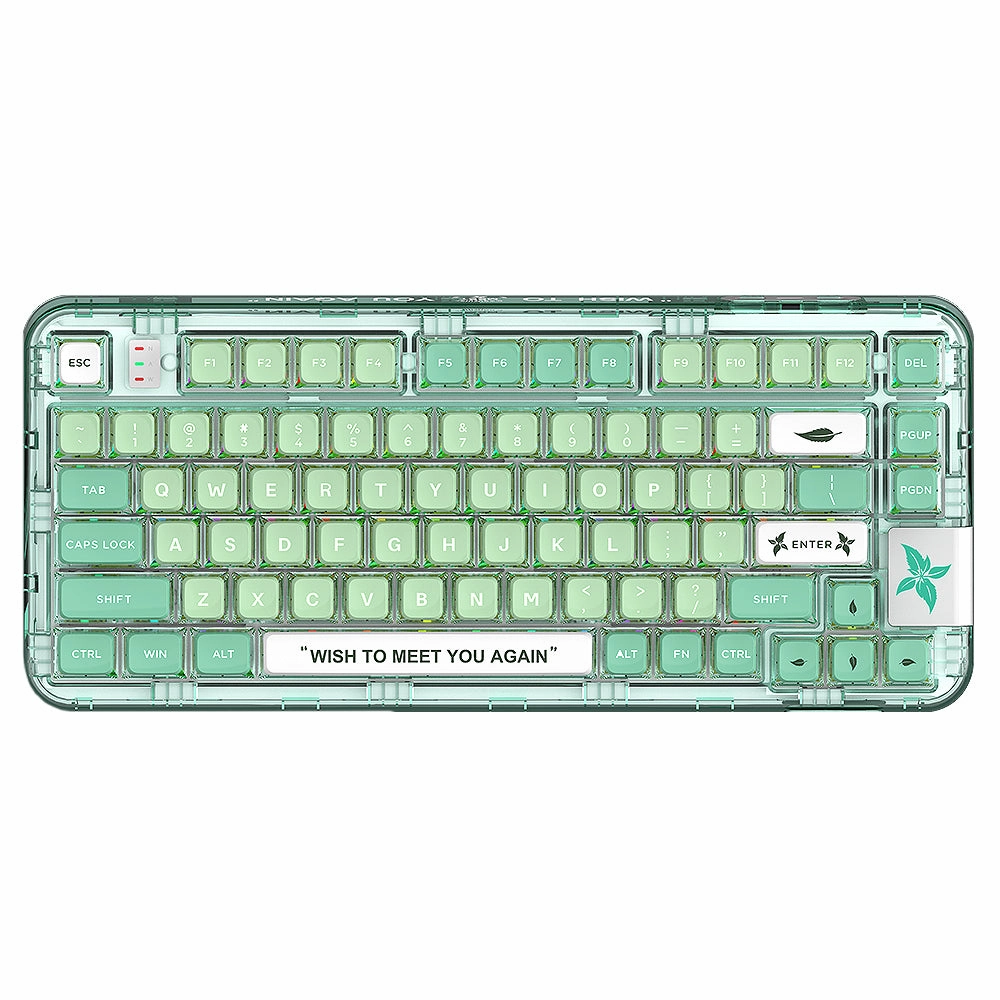 YUNZII CK75 Wireless Transparent Gasket Mechanical Keyboard-Polar Bear Mechanical Desk Typing