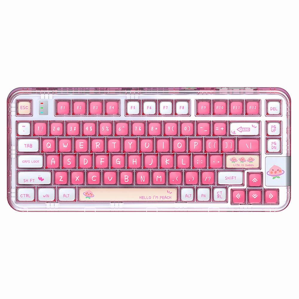 YUNZII CK75 Wireless Transparent Gasket Mechanical Keyboard-Polar Bear High Performance