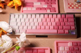 Mechanical Feel Setup Kit DMK BUNNY DESSERT KEYCAP SET